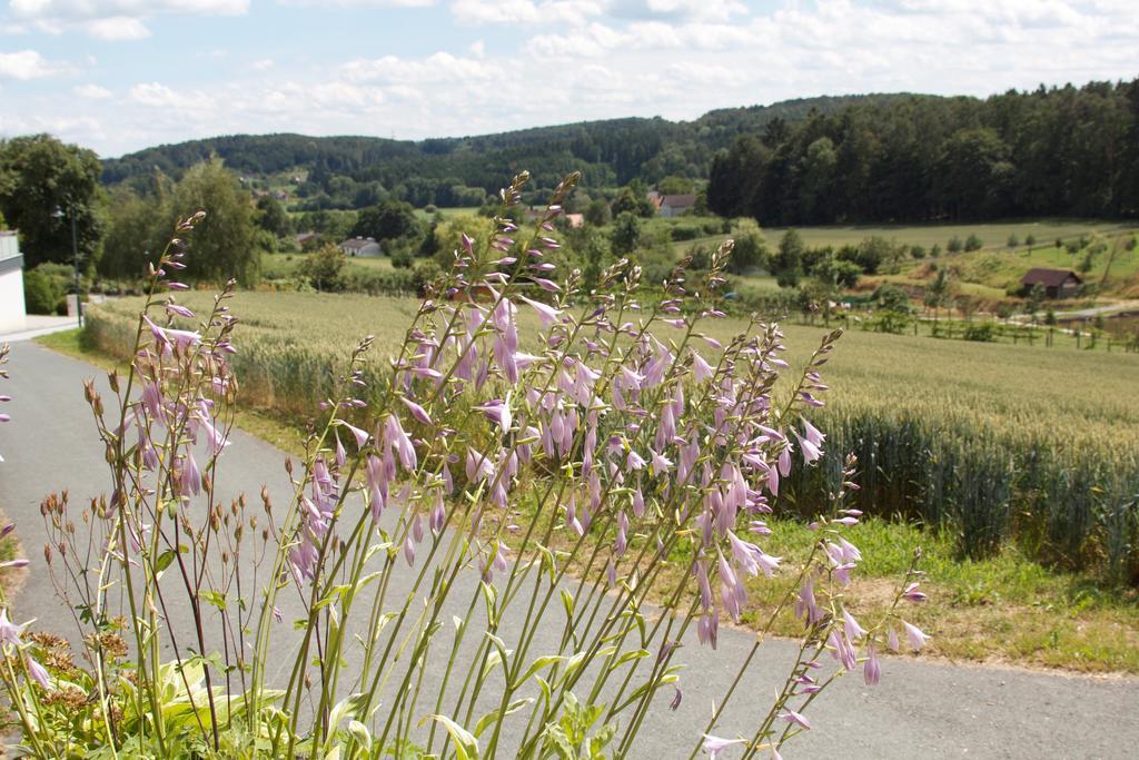 Ferienhaus Planetz Kaindorf  Ruang foto